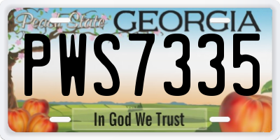 GA license plate PWS7335