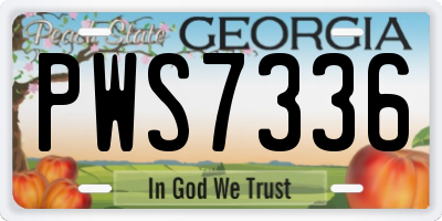 GA license plate PWS7336