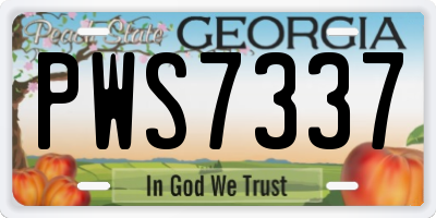 GA license plate PWS7337