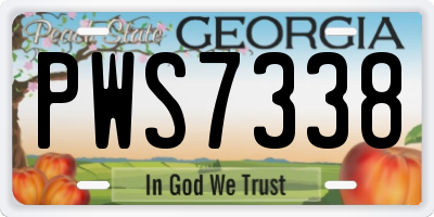GA license plate PWS7338