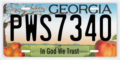 GA license plate PWS7340