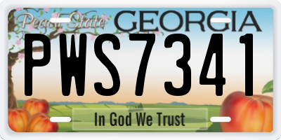 GA license plate PWS7341