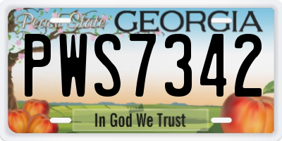 GA license plate PWS7342