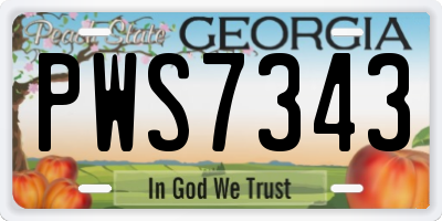 GA license plate PWS7343