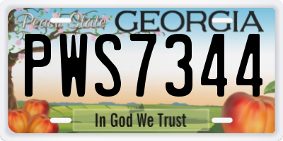 GA license plate PWS7344