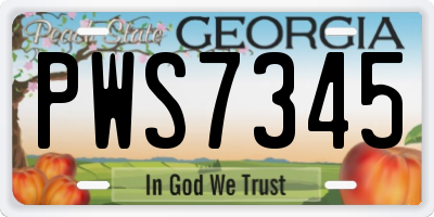 GA license plate PWS7345