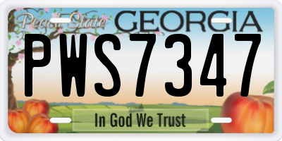 GA license plate PWS7347