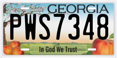 GA license plate PWS7348
