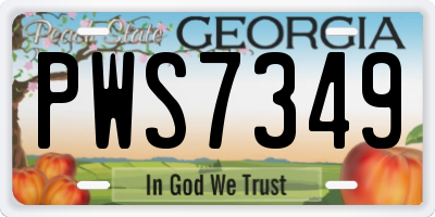 GA license plate PWS7349