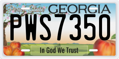 GA license plate PWS7350