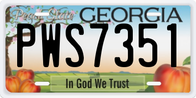GA license plate PWS7351