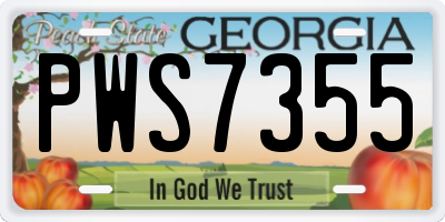 GA license plate PWS7355