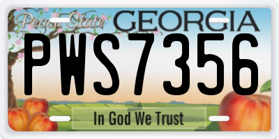 GA license plate PWS7356