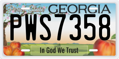 GA license plate PWS7358