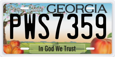 GA license plate PWS7359