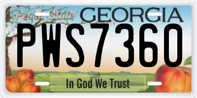 GA license plate PWS7360