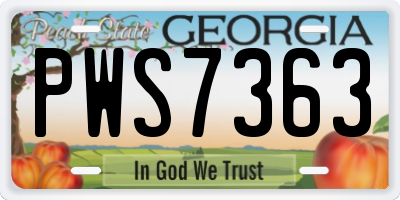 GA license plate PWS7363