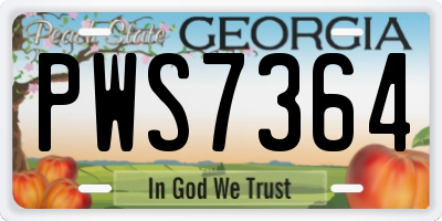 GA license plate PWS7364