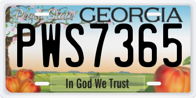 GA license plate PWS7365