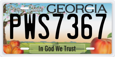 GA license plate PWS7367