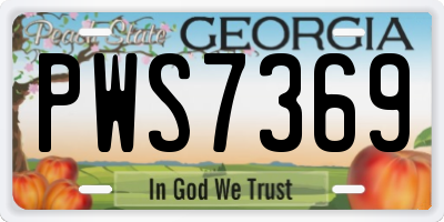 GA license plate PWS7369