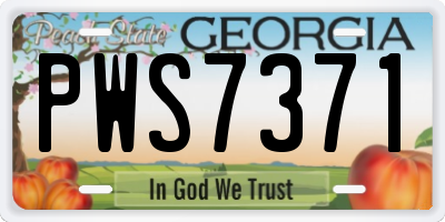 GA license plate PWS7371