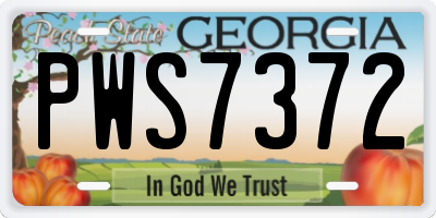 GA license plate PWS7372