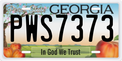 GA license plate PWS7373