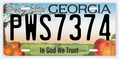 GA license plate PWS7374