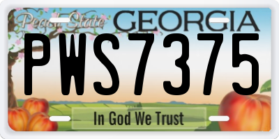 GA license plate PWS7375