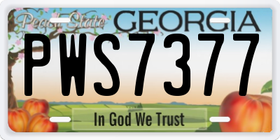 GA license plate PWS7377