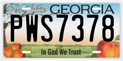 GA license plate PWS7378