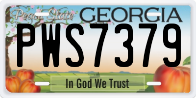 GA license plate PWS7379