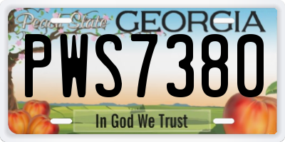 GA license plate PWS7380