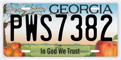 GA license plate PWS7382