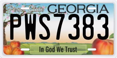 GA license plate PWS7383