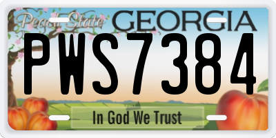 GA license plate PWS7384