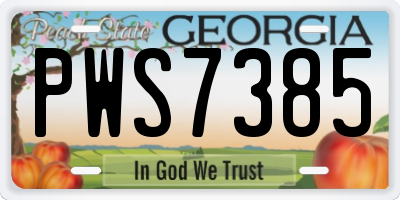 GA license plate PWS7385