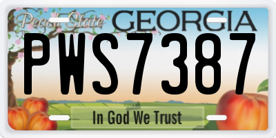 GA license plate PWS7387