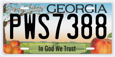 GA license plate PWS7388