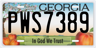 GA license plate PWS7389