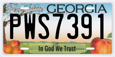 GA license plate PWS7391