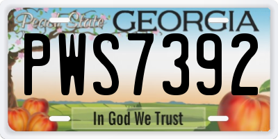GA license plate PWS7392