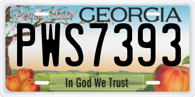 GA license plate PWS7393
