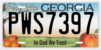 GA license plate PWS7397