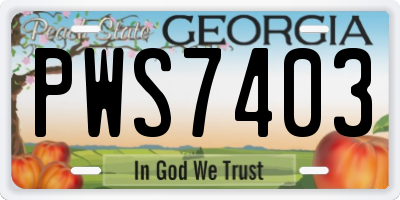 GA license plate PWS7403