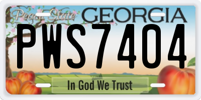 GA license plate PWS7404