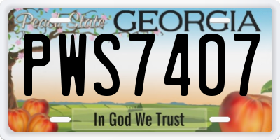 GA license plate PWS7407