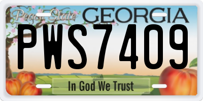 GA license plate PWS7409