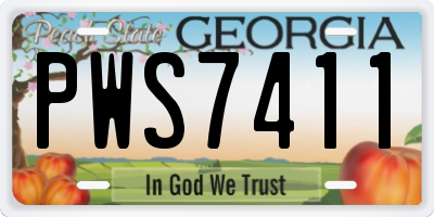GA license plate PWS7411